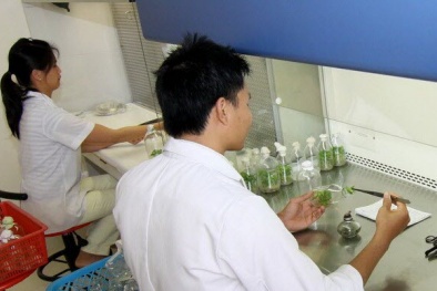 Nâng chất lượng đào tạo nhân lực năng lượng nguyên tử